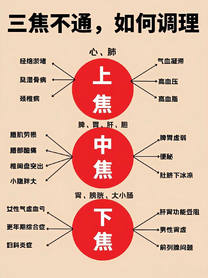 #国医的精诚力量# 中医常说“三焦不通”指的是什么？入门必看  ​​​​​​