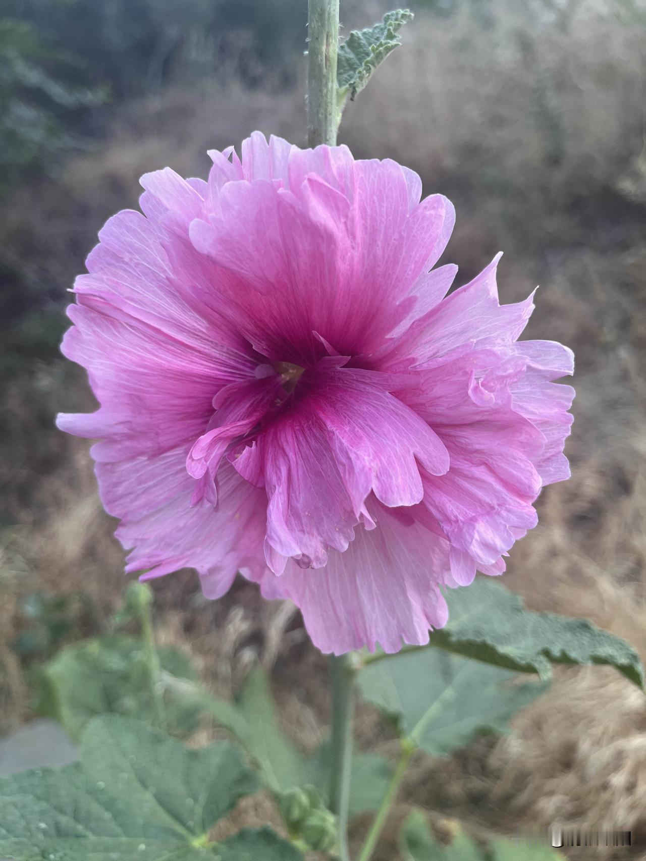 一年四季，每个季节都有它独特的风景，春天万物萌动，夏天蝉鸣声声，秋日枫叶正红，冬
