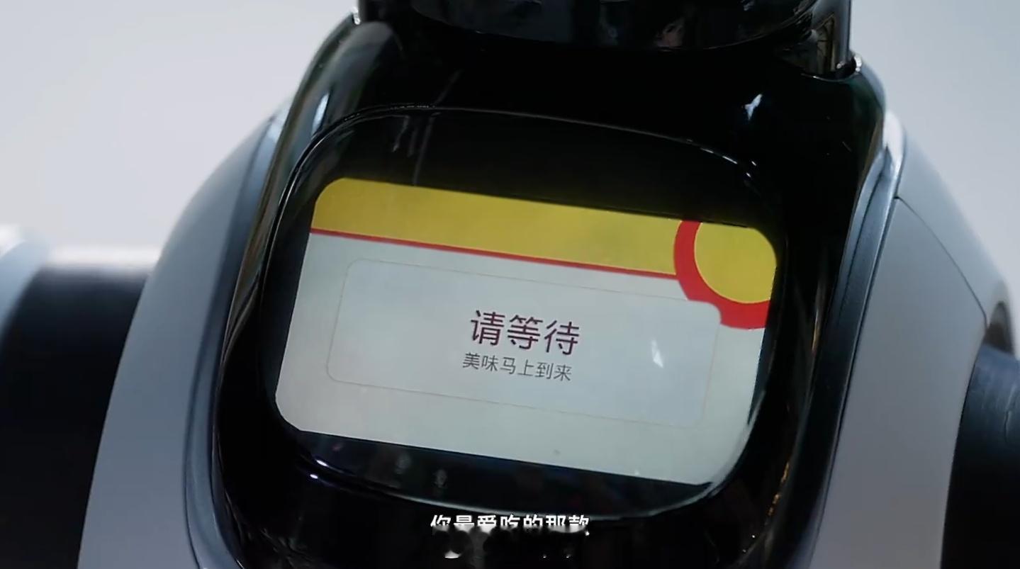 兄弟们，有乐子了就刚刷完影视飓风那期，前面9分钟还在看PDD上那些"挨打机器人"