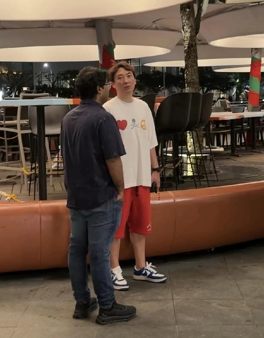 王思聪大概率不会再回国了，不是因为他欠了20亿，也不是王健林卖掉了48座万达，而