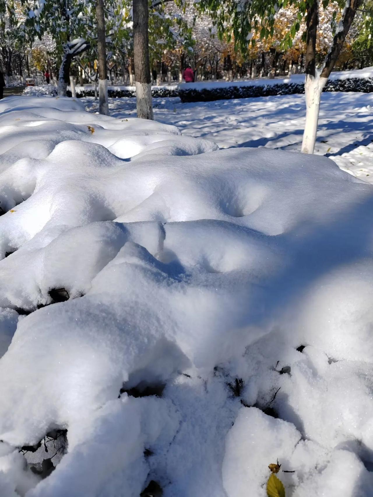 冬日生活记录冬日的皑皑白雪总会让人情不自禁的停下来，给它的造型来个截屏