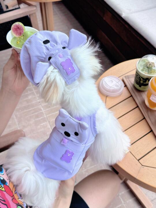 💜🤍香芋味的小狗喜欢吗？微甜