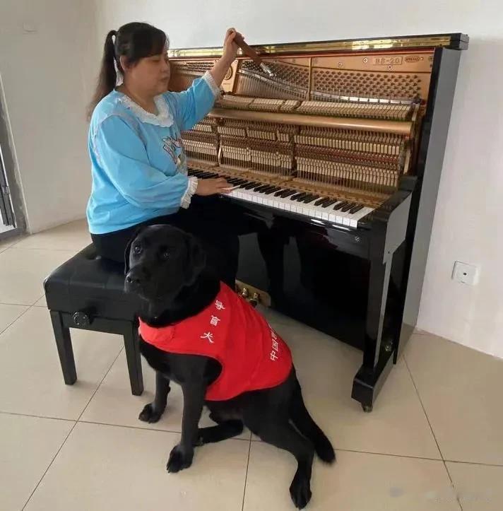 很多人质疑她“装瞎”“博同情”。“盲人怎么可能会拍视频”“盲人怎么可能自己做饭”