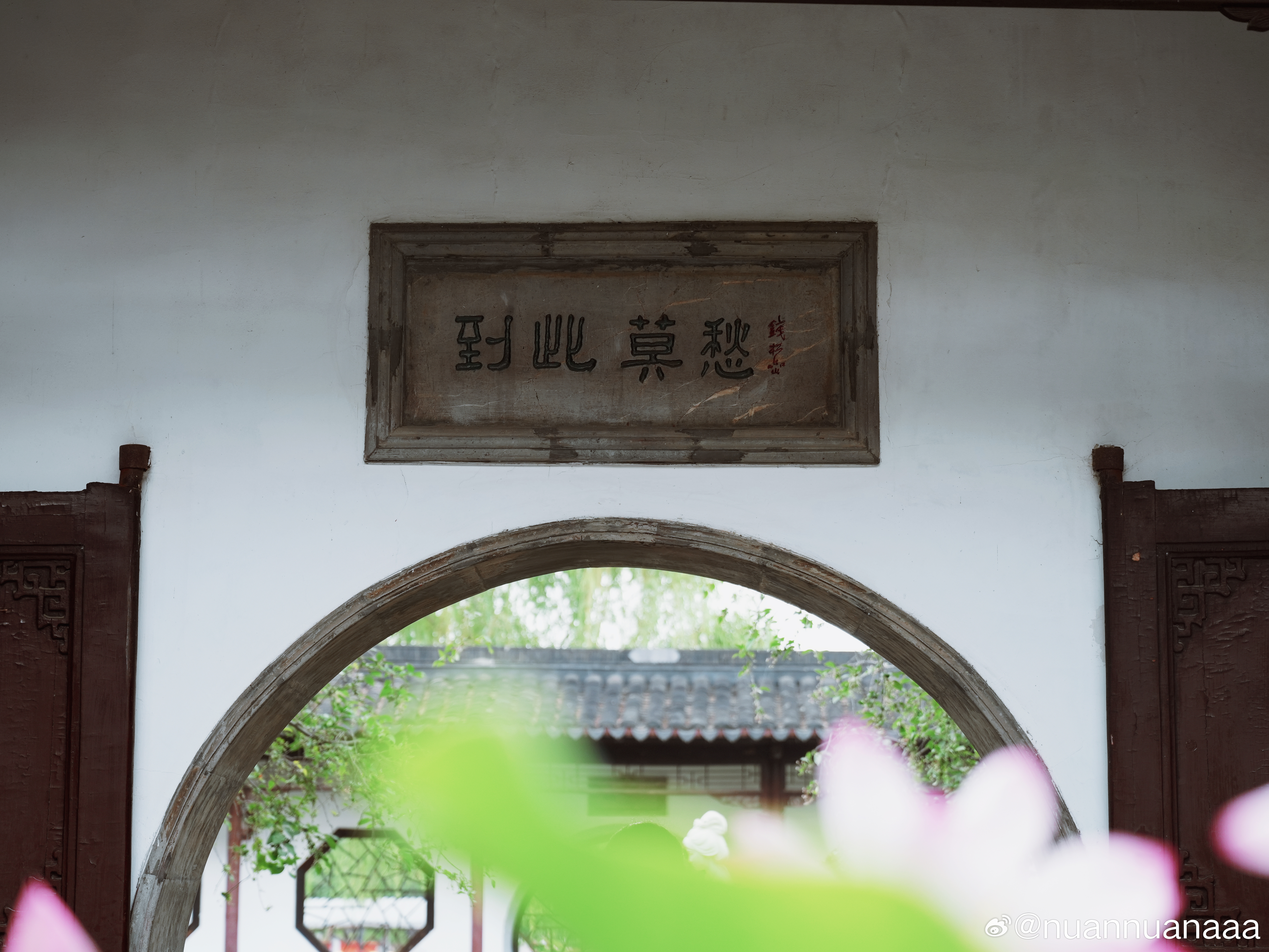 到此莫愁随手拍