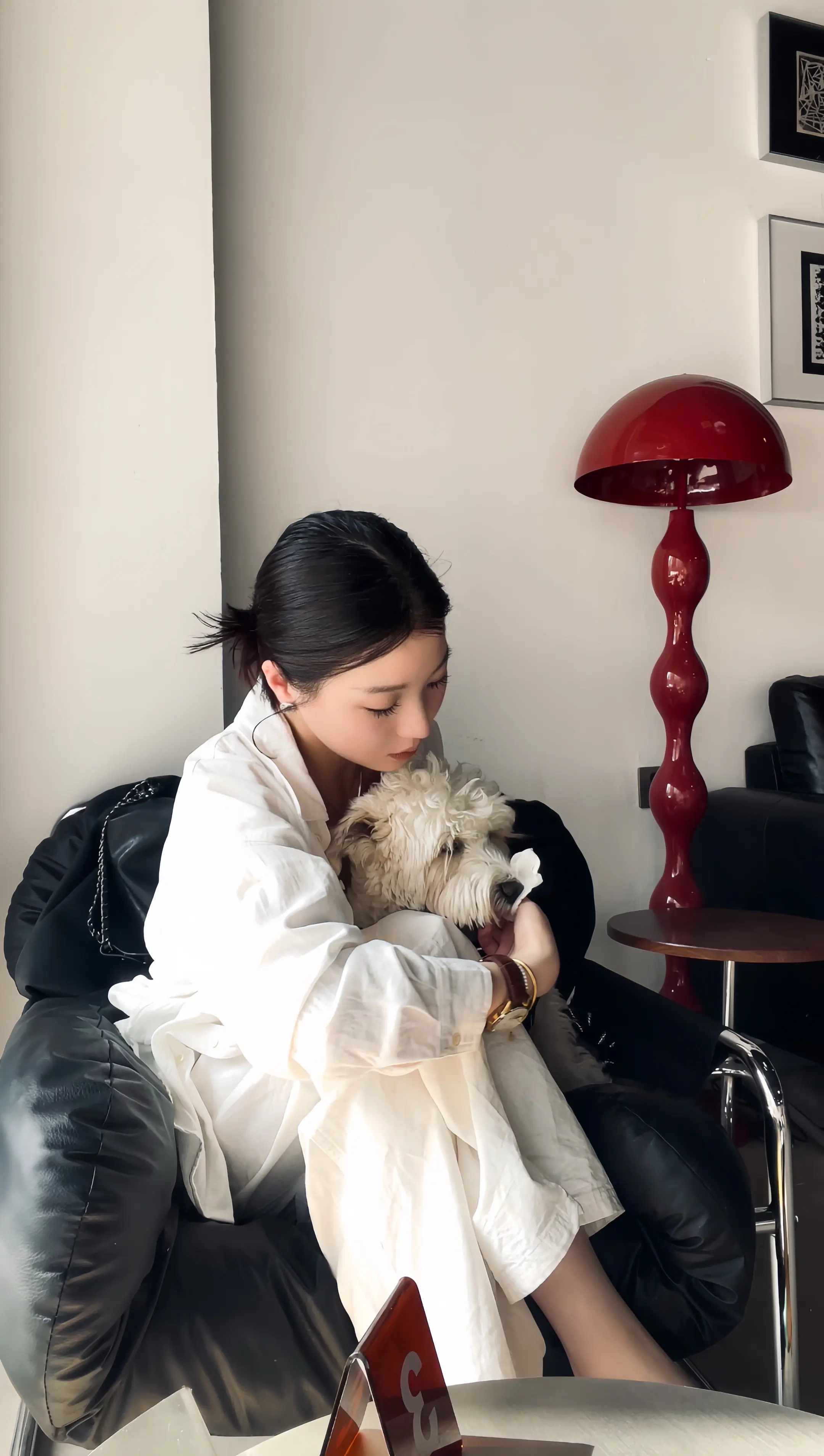 乌鸦为什么像写字台