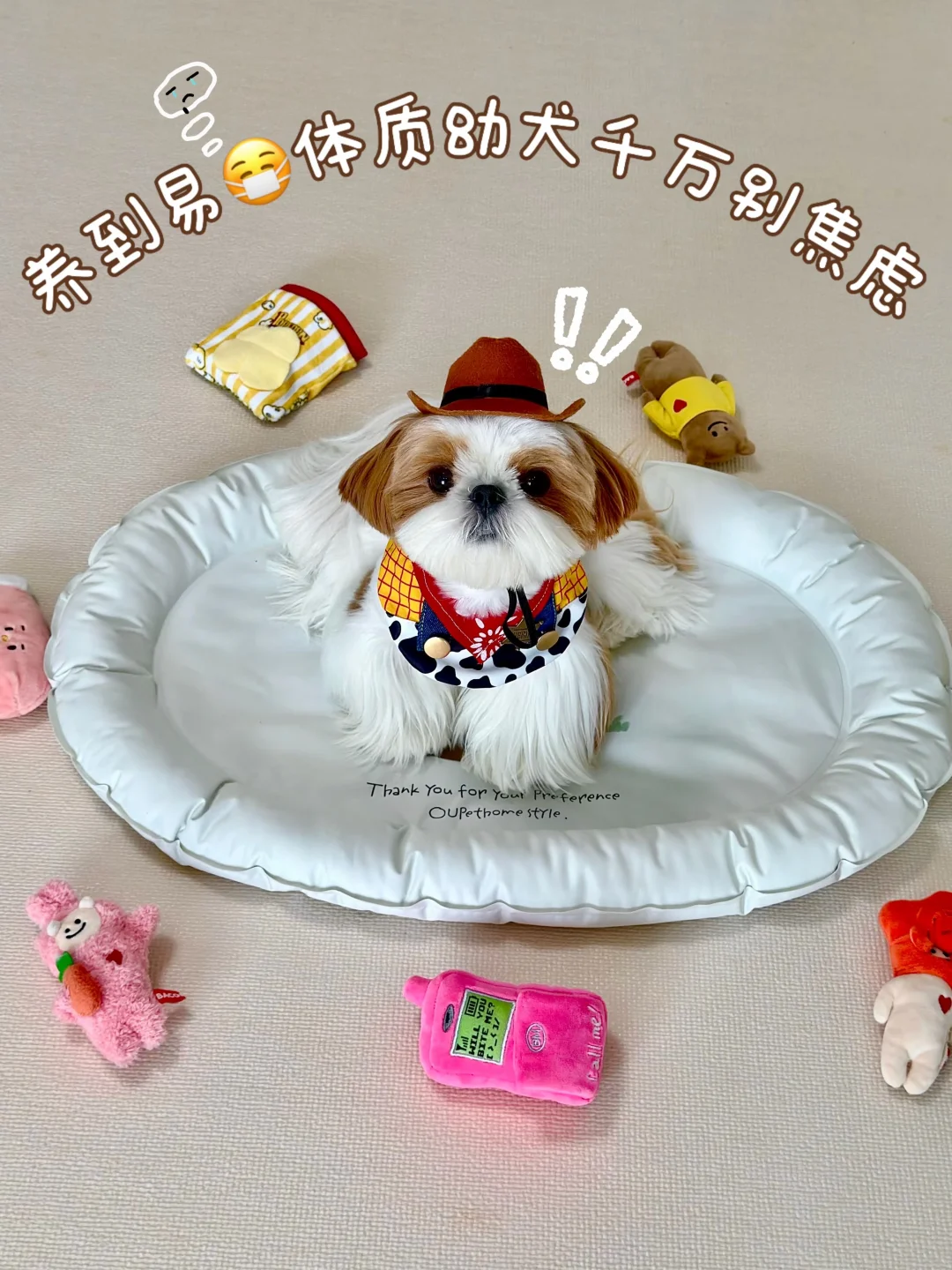 养到易😷体质幼犬千万别焦虑