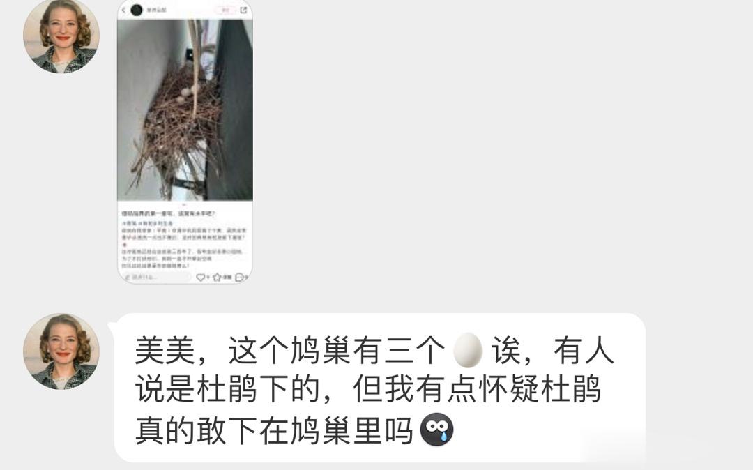珠颈斑鸠一窝基本只下两枚如果蛋“坏”了，那它们会重新下，所以会出现三枚的情况 肯
