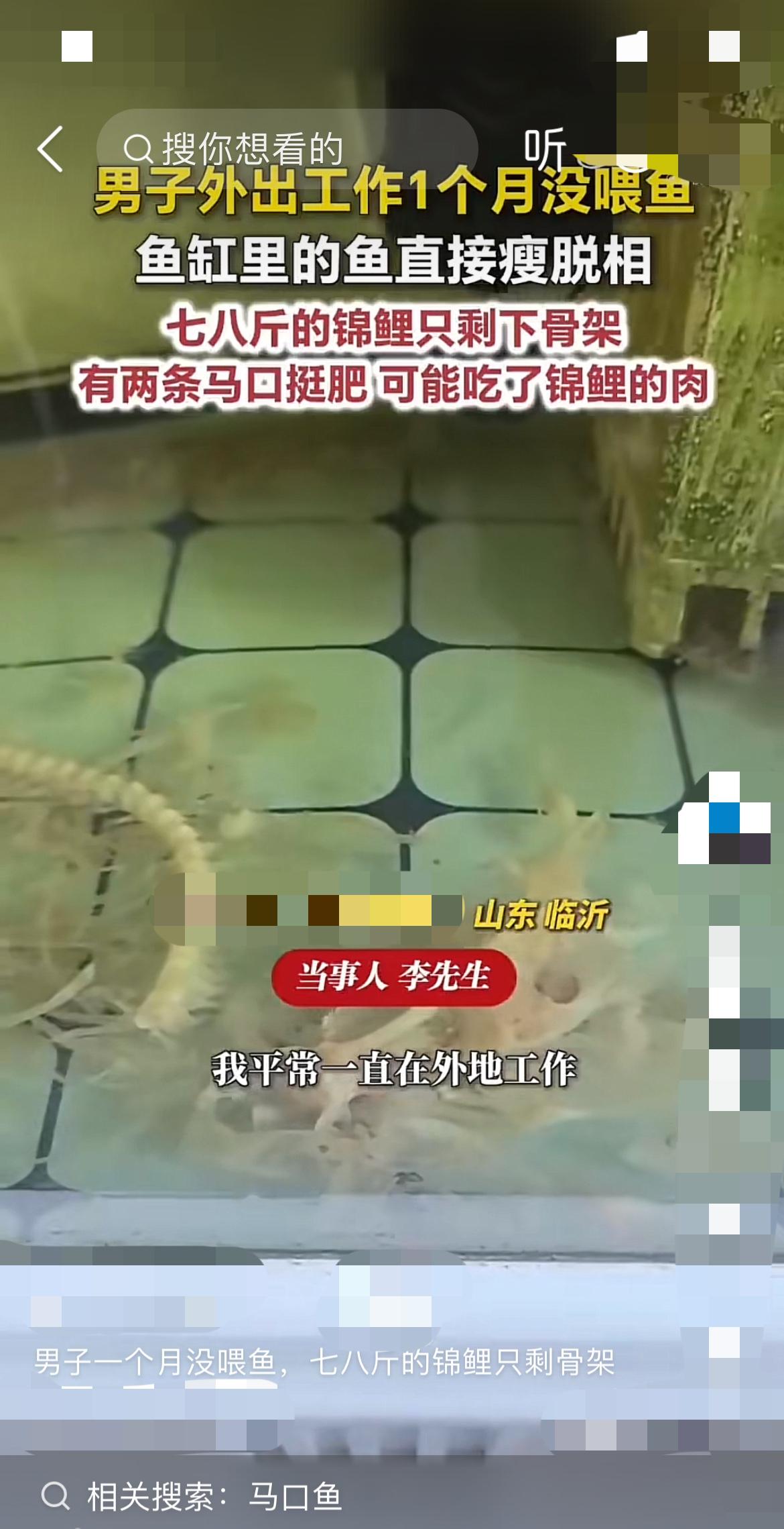 “我托小舅子帮忙喂的锦鲤，现在只剩个骨架了！”
在山东临沂，常年在外地工作的李先