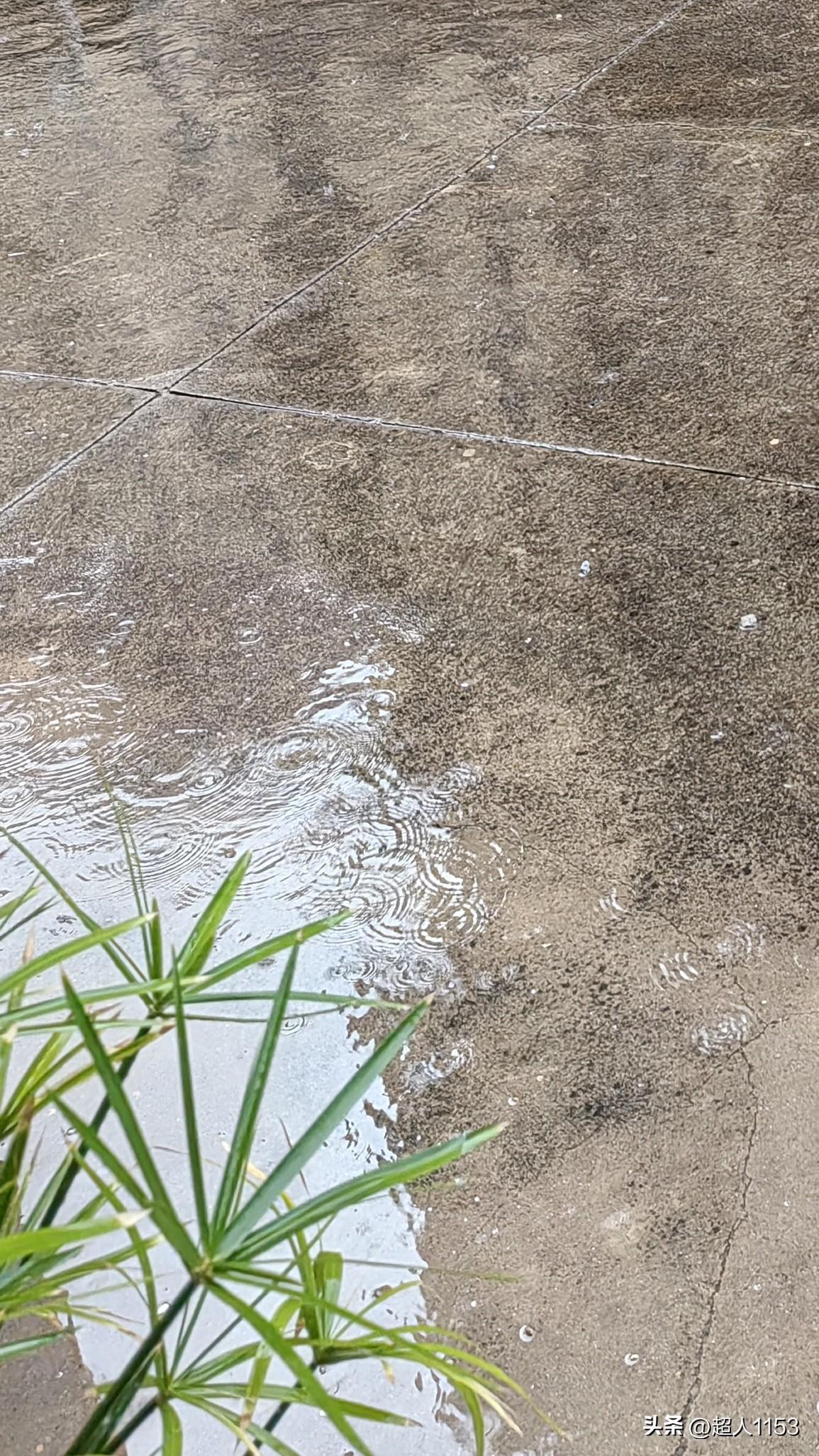 马上到中午了，
雨还下个不停，
今天中包馄饨吃吧。

家里有里脊肉，
买了两块钱