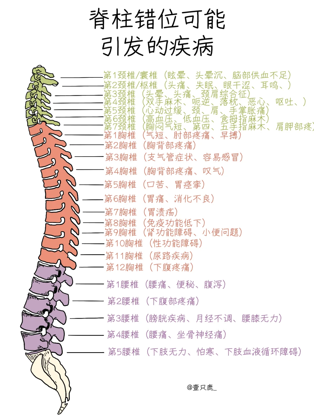 医学生笔记📝｜脊柱错位