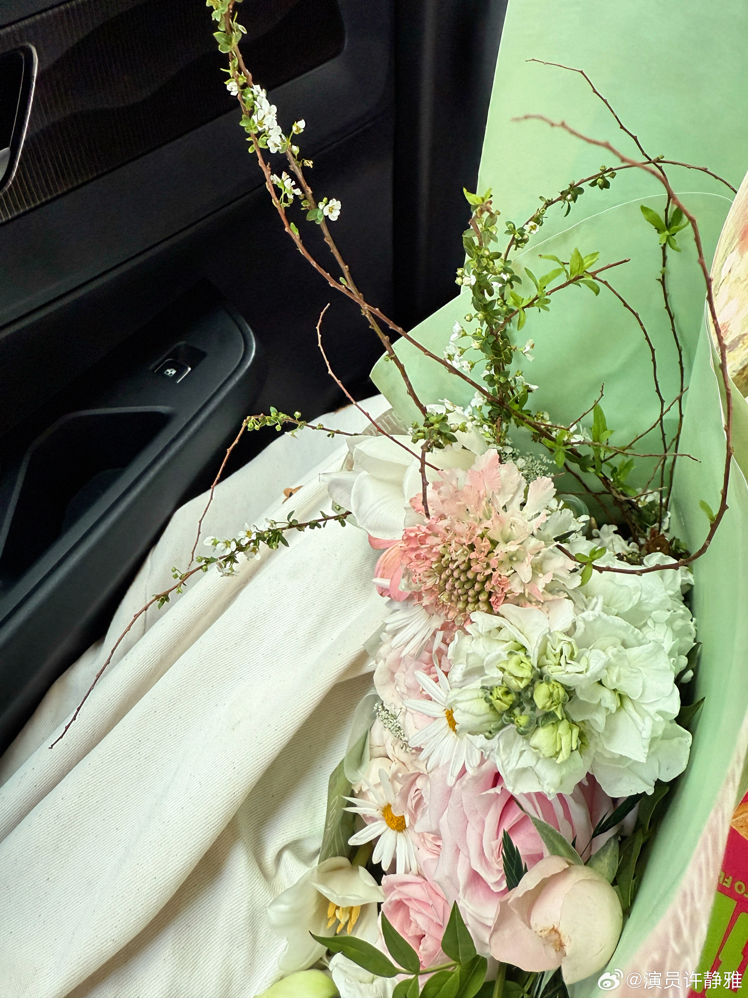 春天儿～好运难挡！！！！把春天拍给你看