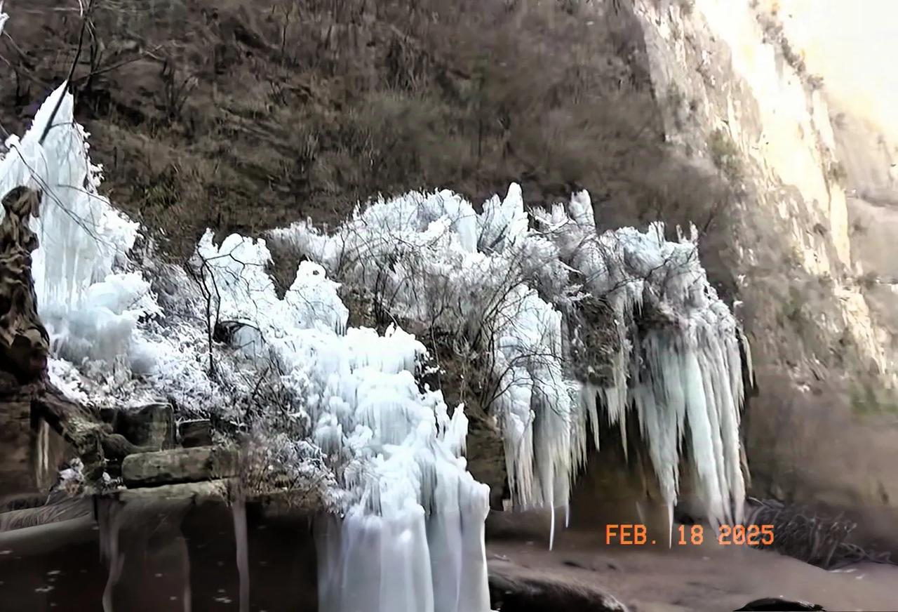 太行山大峡谷红豆峡因峡谷内天然生长着南方科目的珍稀树种红豆杉而得名。这里有成片的