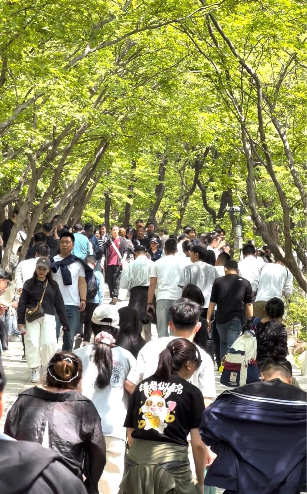 你在大孤山会发现一个细节：很多人是“听别人说来的”。有人说祈福灵，有人说玄都宫准
