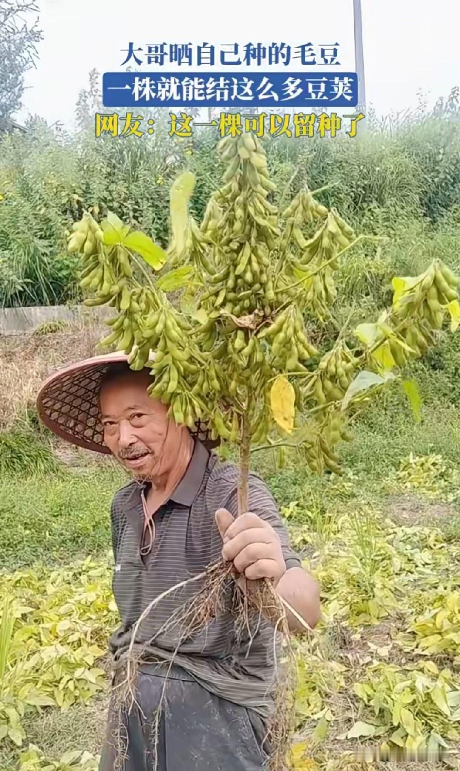 这满满的成就感[偷笑]