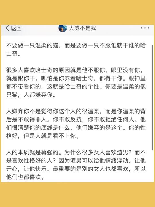 不要做一只温柔的猫，而是要做一只不服谁就