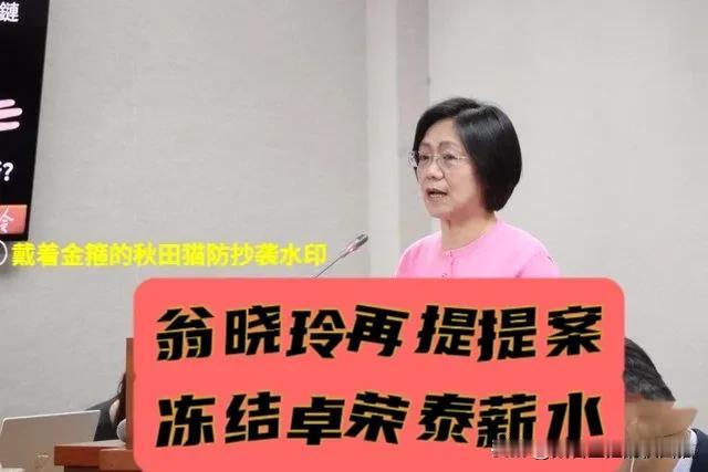 提议冻结卓荣泰薪水！
“提案女神”翁晓玲再出重拳：不履职拿啥工资？冻结！解冻需三