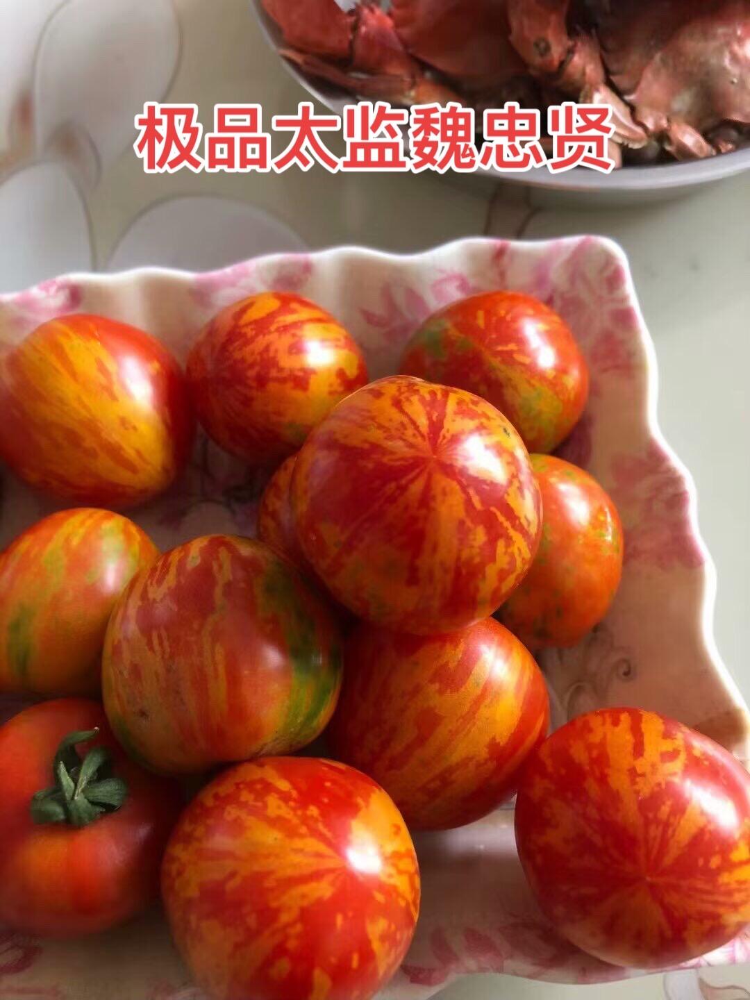 魏忠贤的入宫之路 明朝最极品的太监魏忠贤可谓是大名鼎鼎，在明朝三个最有...
