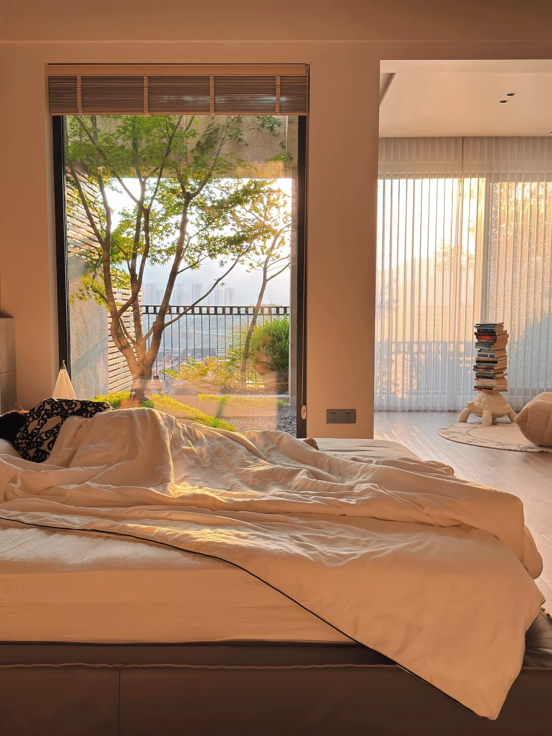 卧室种树？这想法太荒唐了！