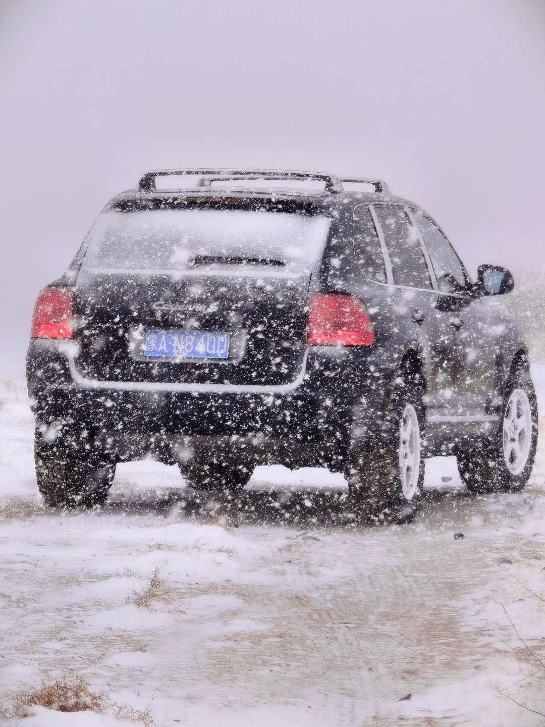 瑞雪兆丰年，大年初五 ，下雪啦！内蒙老哥和德国女孩祝大家发发发！大v聊车保时捷c