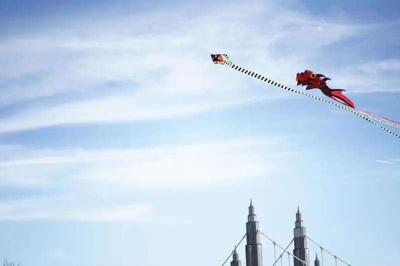 今年春天最想实现的心愿 今年春天，我最想实现的心愿，就是寻个宁静河滩好好放一回风