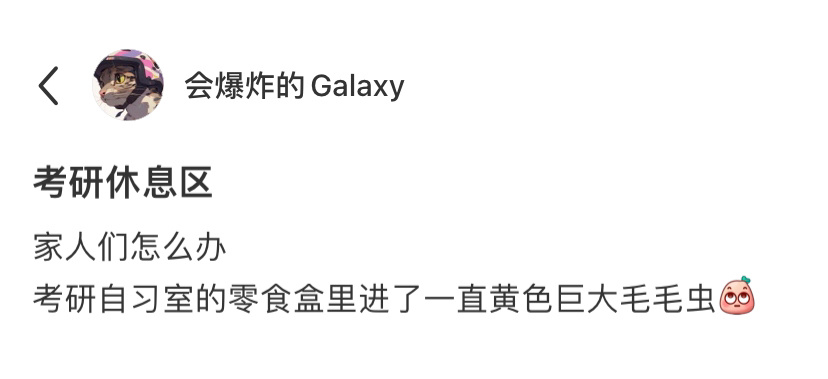 考研暂停，按需自取撸猫开始咯[开学季] ​​​