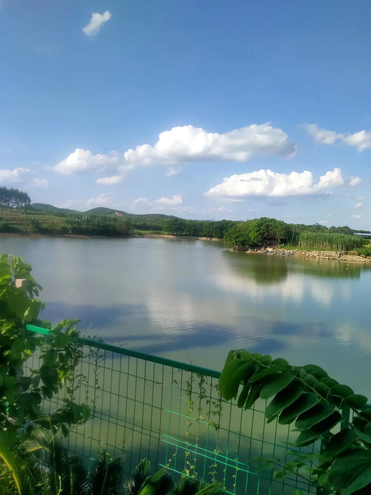 #分享相册里最美的风景#在那片浩瀚无垠的蓝天舞台上，云朵悠然自得地飘浮着，它们仿