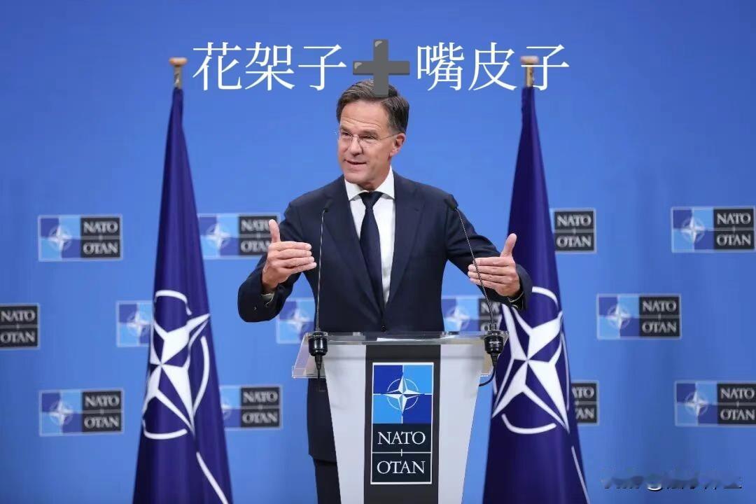 秘书长吕特，真的能代表“北约”？柏林“慕安会”，吕特警告：与俄将有一场“祖辈曾祖