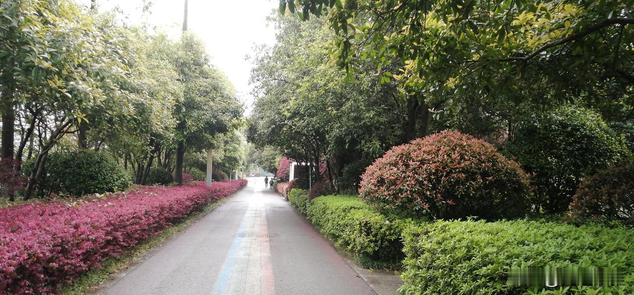 写文章没有年龄限制，只要自己开心快乐，有自己厚实的生活阅历做基础，加上坚持不懈的