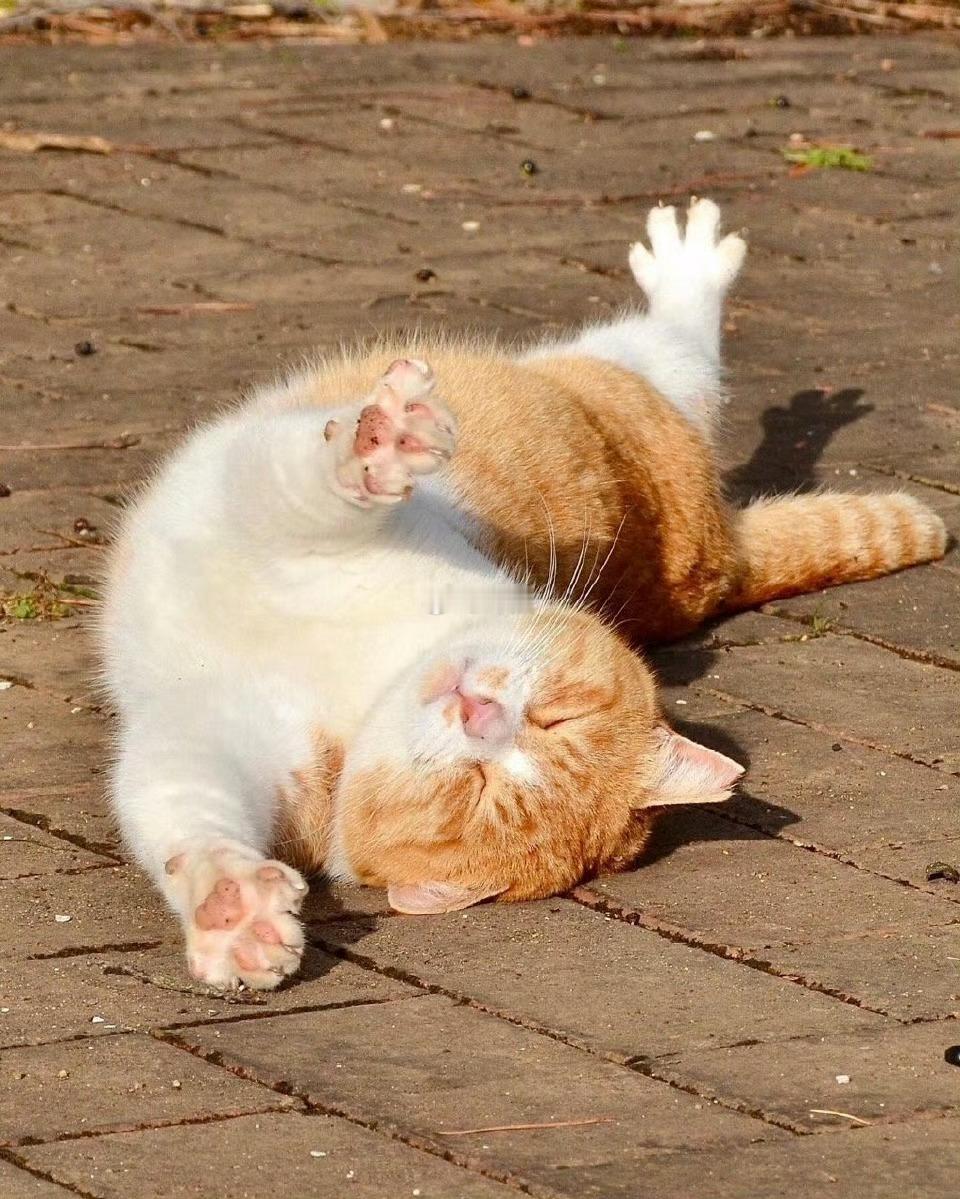 抓好运，抓住整年顺利特别灵！ 