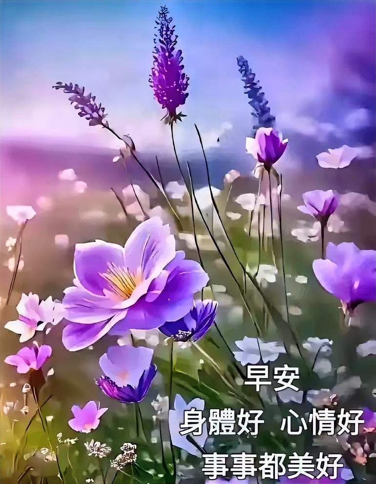 早安！紫色花海里藏着温柔，身体好心情好，愿你今日诸事顺，美好时时伴左右～
早上祝