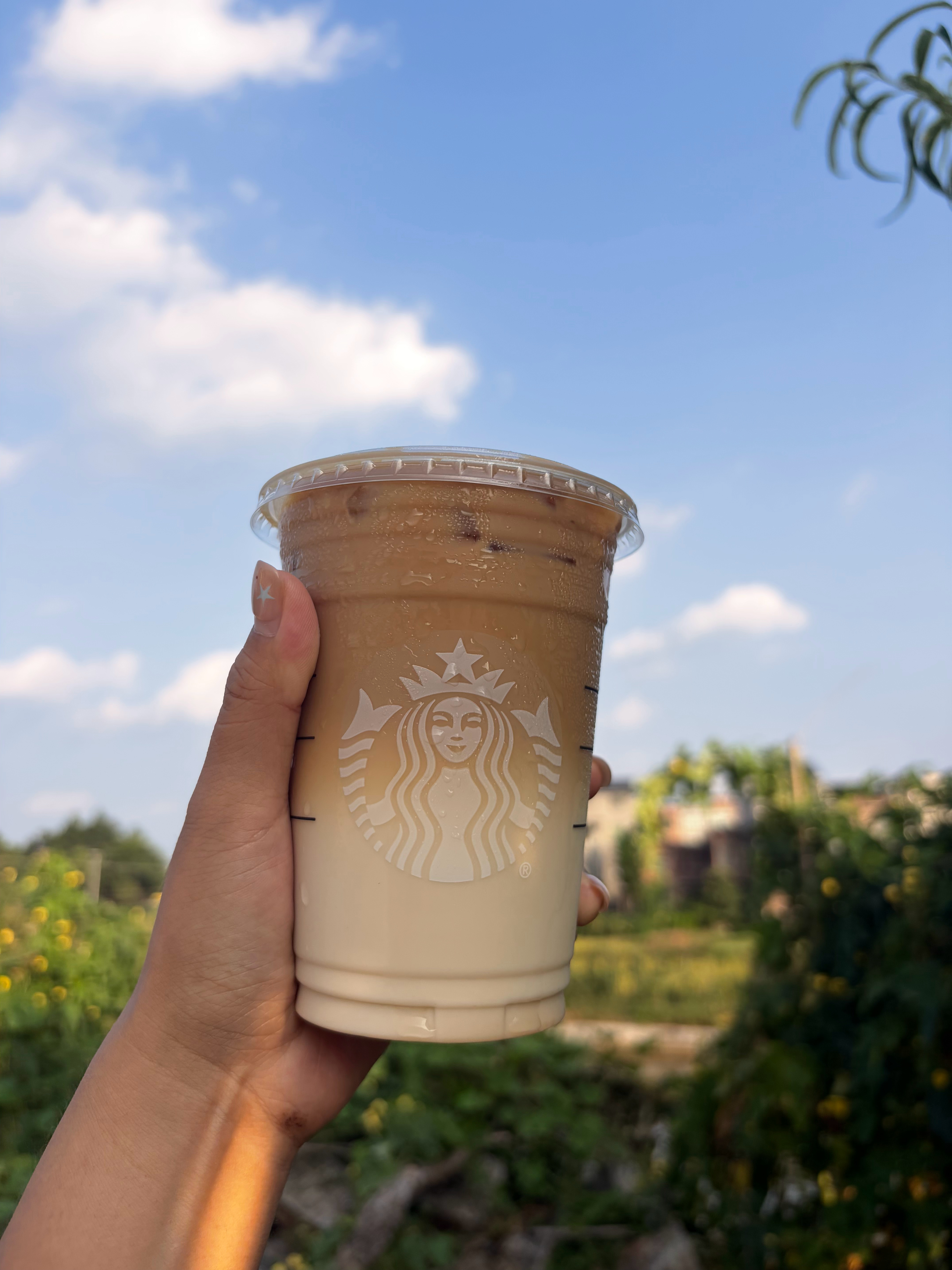 为什么每天固定要点咖啡才满足每天不来一杯总感觉少了点啥，咖啡真的会上瘾 