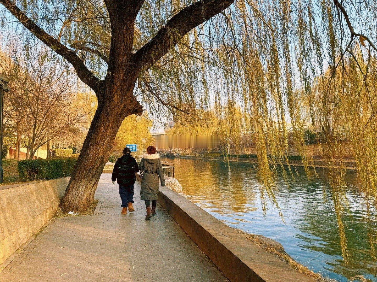 河边漫步走，水中坠杨柳，阳光渐变弱，冬季添衣厚。 拍摄于北京安定门东滨河路北二环