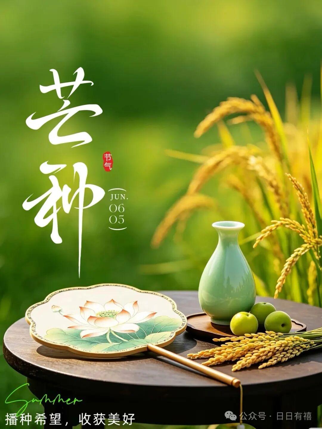今日芒种，播下开心的种子，收获灿烂的笑容；播下事业的种子，收获满满的成功；播下爱