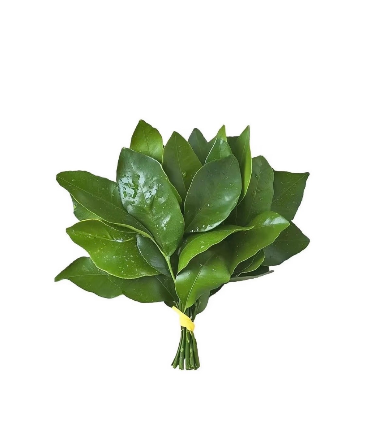 分享图片 