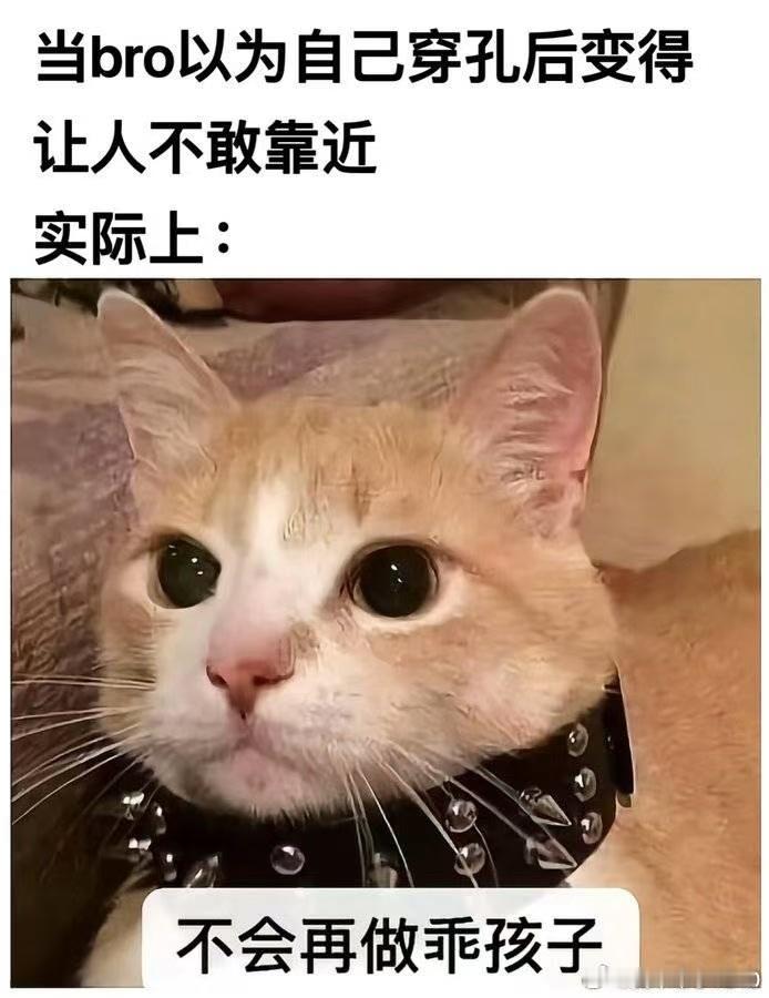 就是嘛 