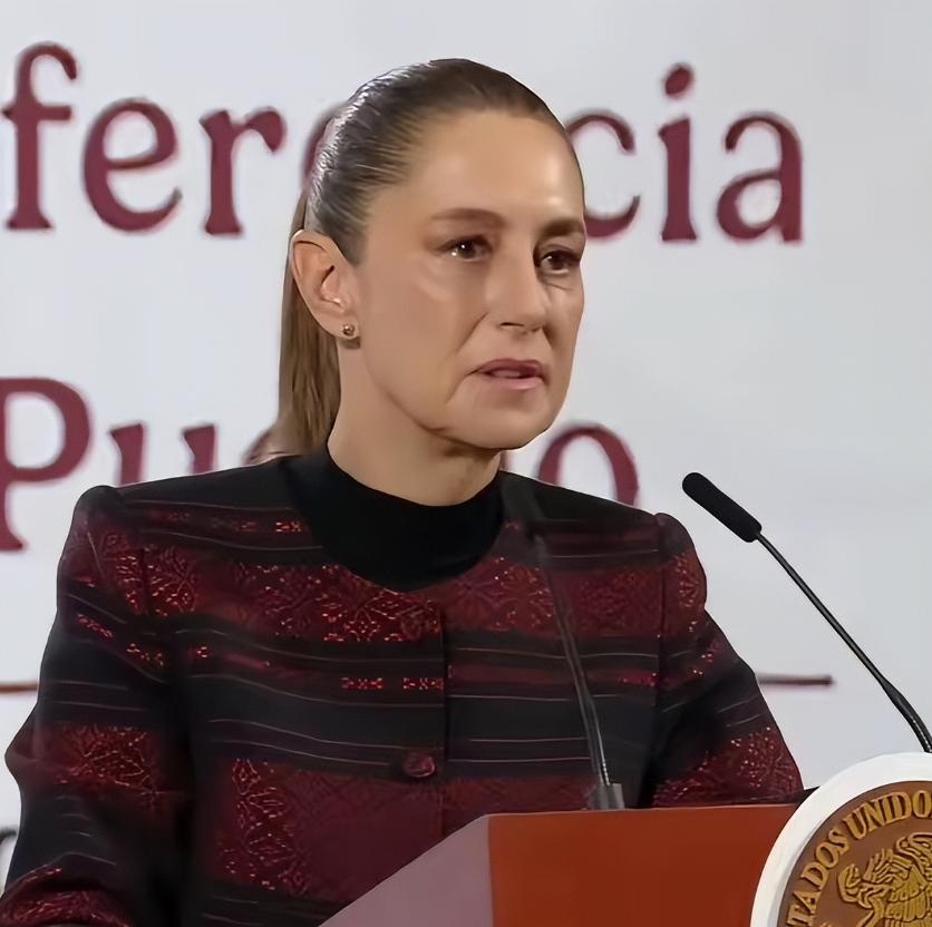 联合国下一任秘书长到已经确定？
2月3日消息，智利、巴西和墨西哥三国政府联手向联