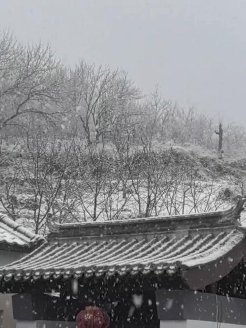 《京华三月雪》
琼英漫卷破春慵，帝阙银装映九重。
冻柳垂绦悬凤藻，寒梅缀玉点金容