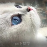 软润润热谈美女