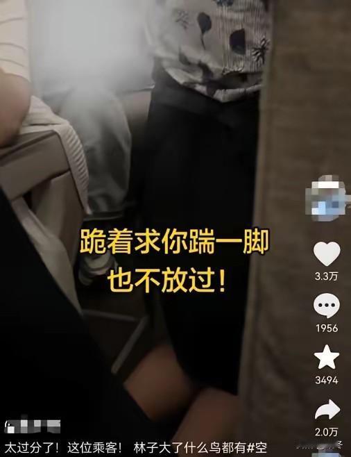 空姐当众下跪受辱，对方依旧得寸进尺、毫无人情可言。
 
28号航班上的一幕，看得