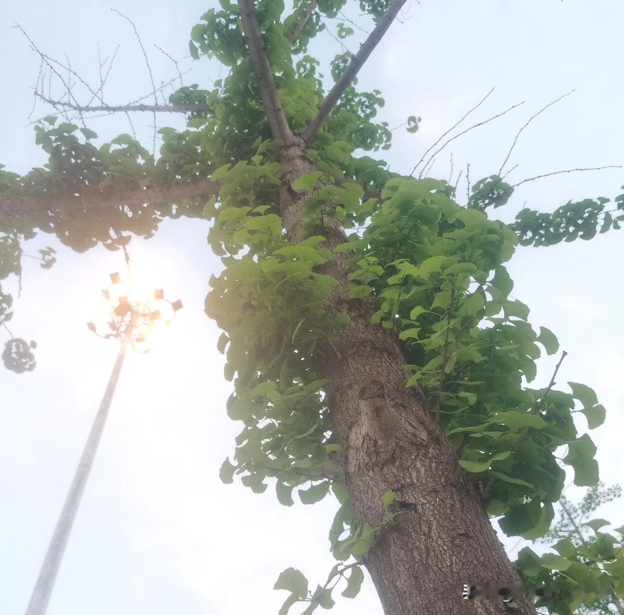 心还是会乱的，就在那一瞬间。

给老公打电话，电话通了，老公还在路上走。

怎么