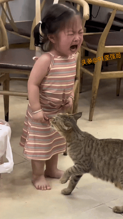 猫：别哭了，哭也没有用！