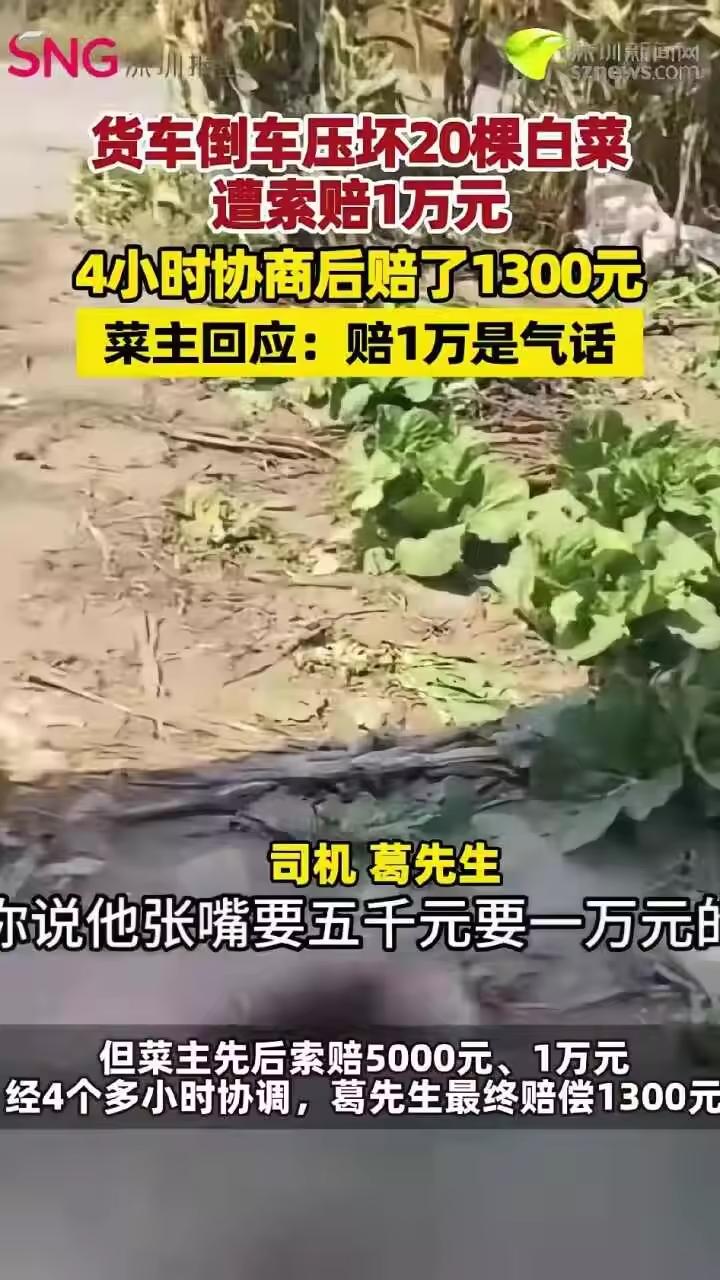 货车倒车压坏20棵白菜，菜主先要5000，再要1万，僵持4个多小时，最后司机赔了