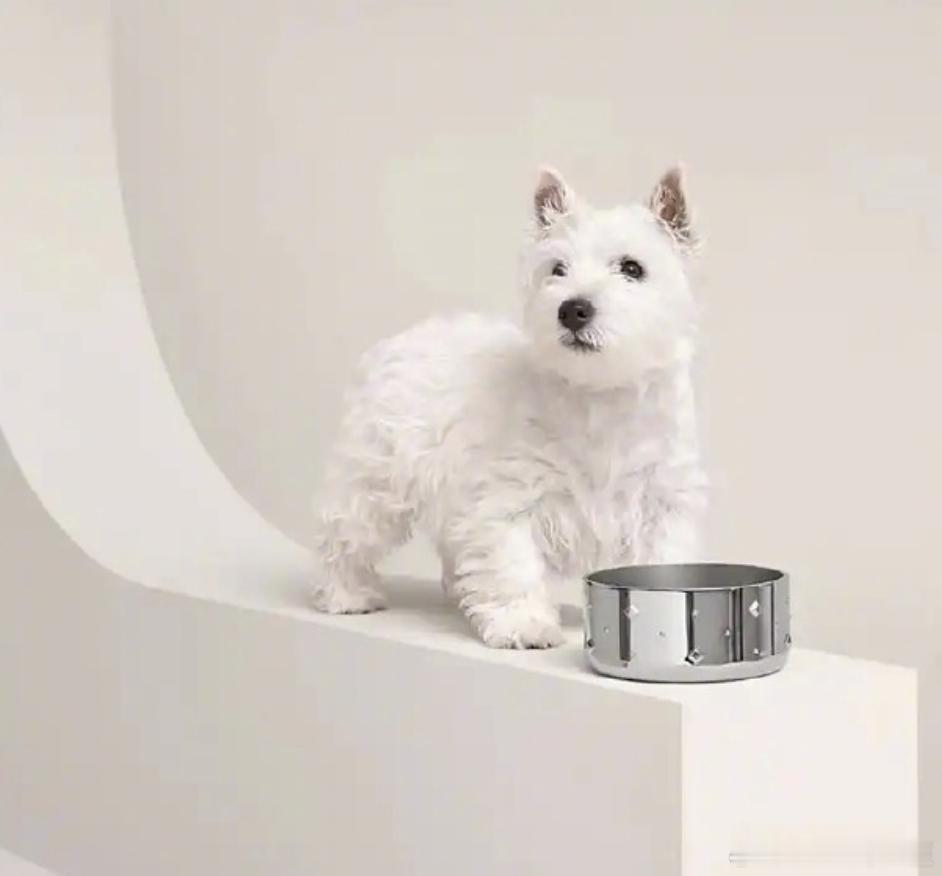 爱马仕狗碗售价超2万人不如狗的真的实现了吗？ 