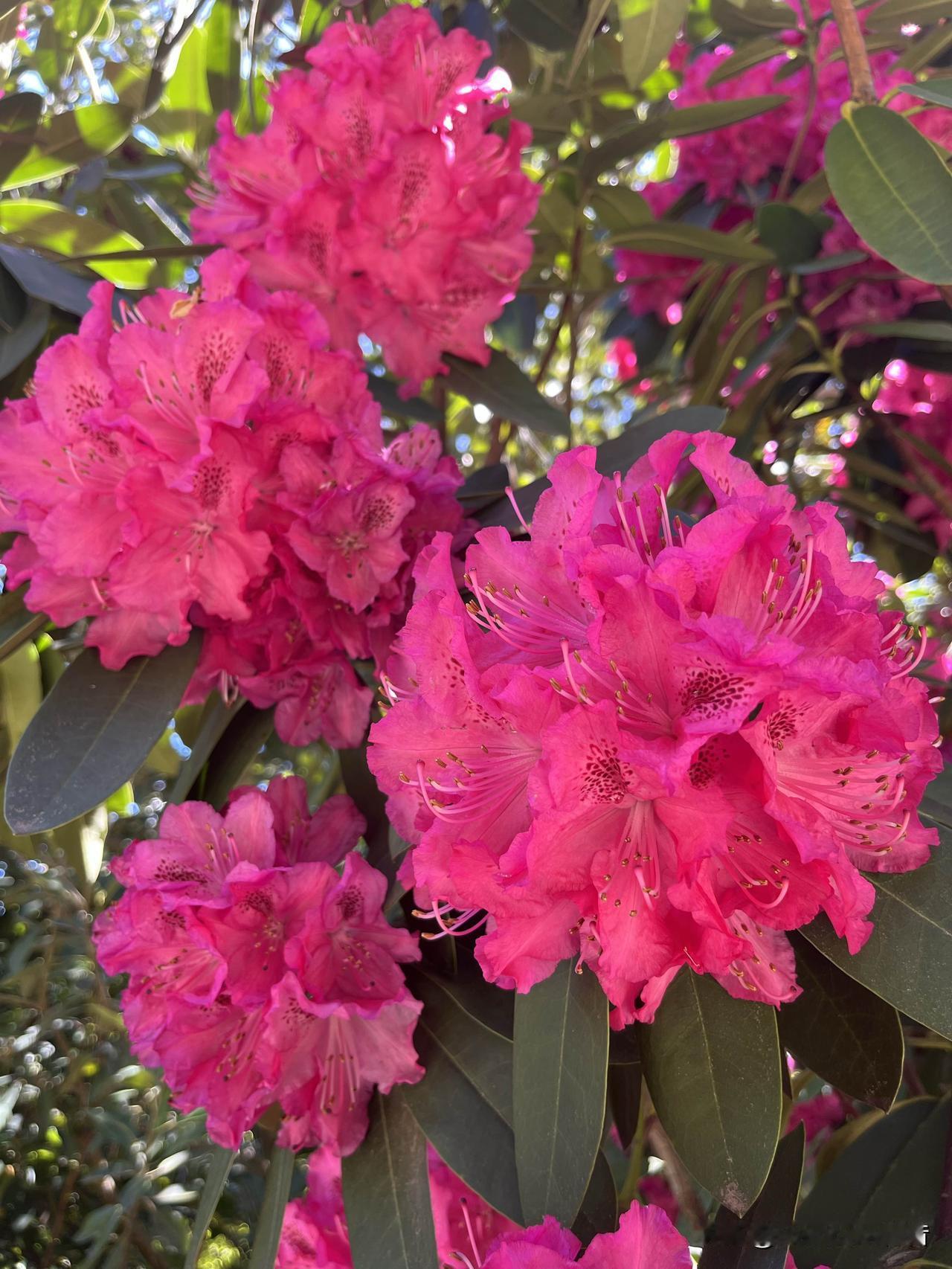 冬日生活打卡季