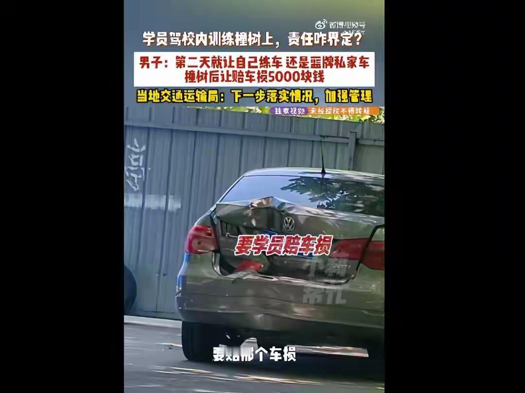 学员驾校练车撞树，被索赔5000元，学费冲抵赔偿款，不准再上车练习。河南驻马店某