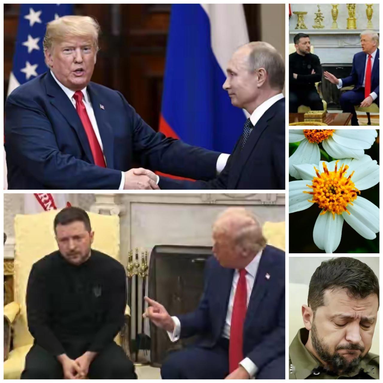 [灵光一闪]对于特朗普甩出的“俄乌战争28条”，我不想说这是乌克兰的悲哀，还有是