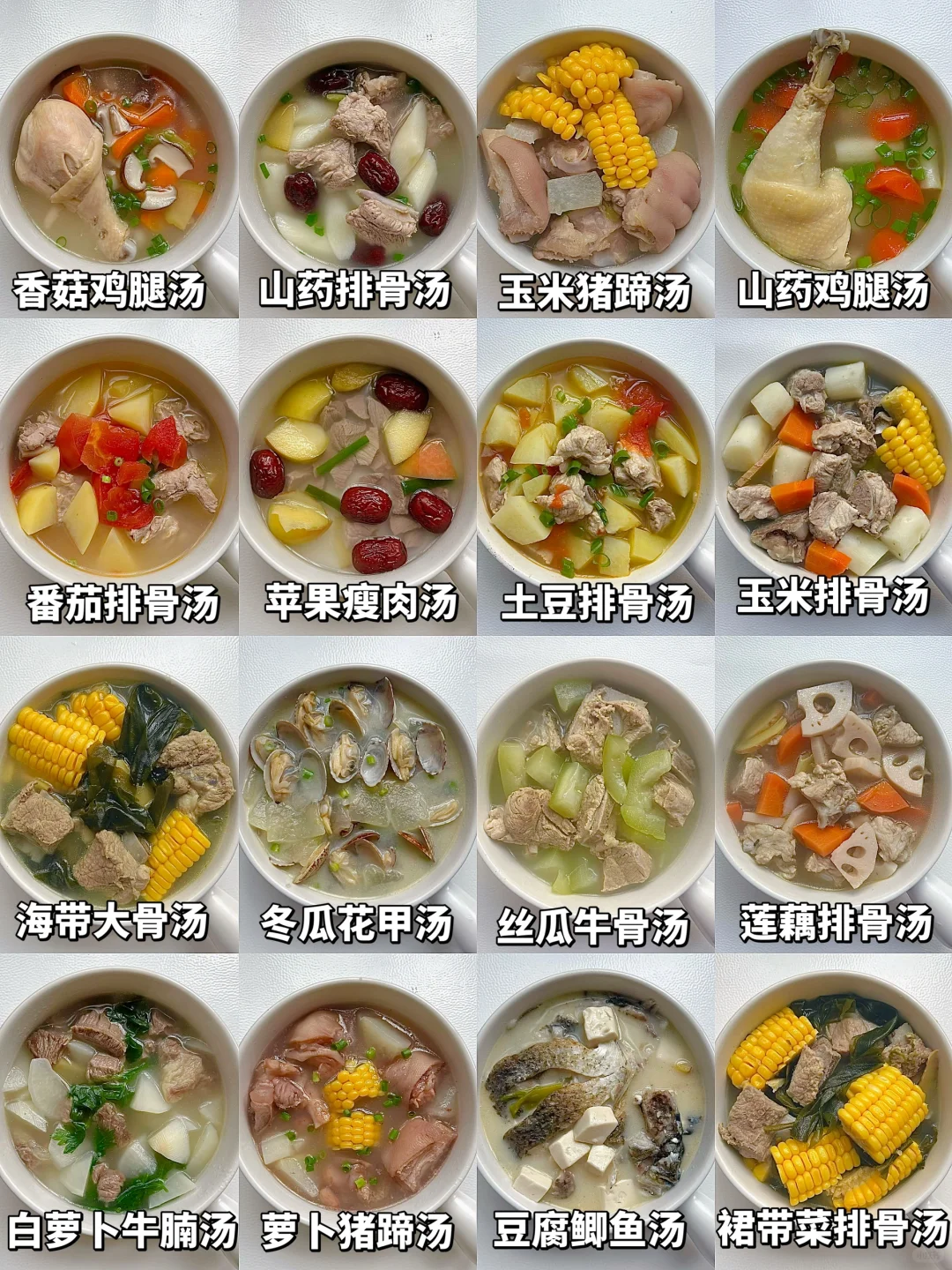 12款营养美味炖汤不重样💯真真鲜点眉毛了