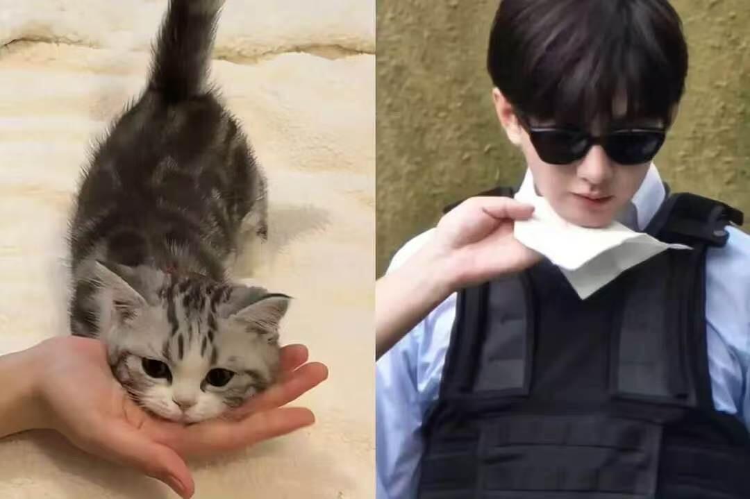 外表酷拽，内心揣着一只小奶猫🐱 ​​​