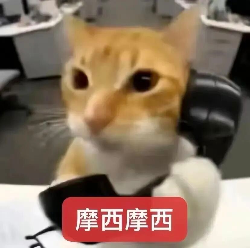 以你目前的经济能力，可以毫不犹豫的买下什么 ​​​