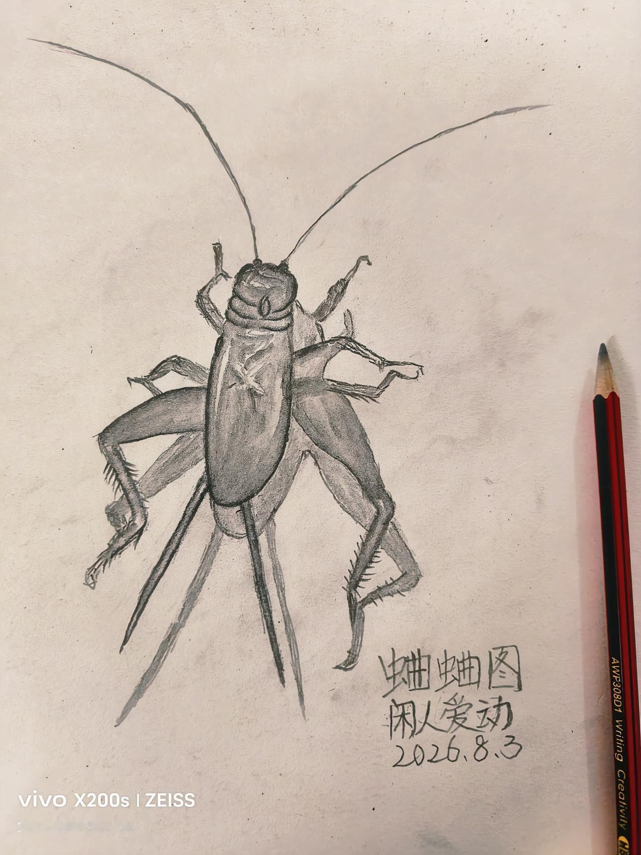 夏天石头缝隙中的蛐蛐
         人老了看不见的最大标志，总爱回忆年轻时的